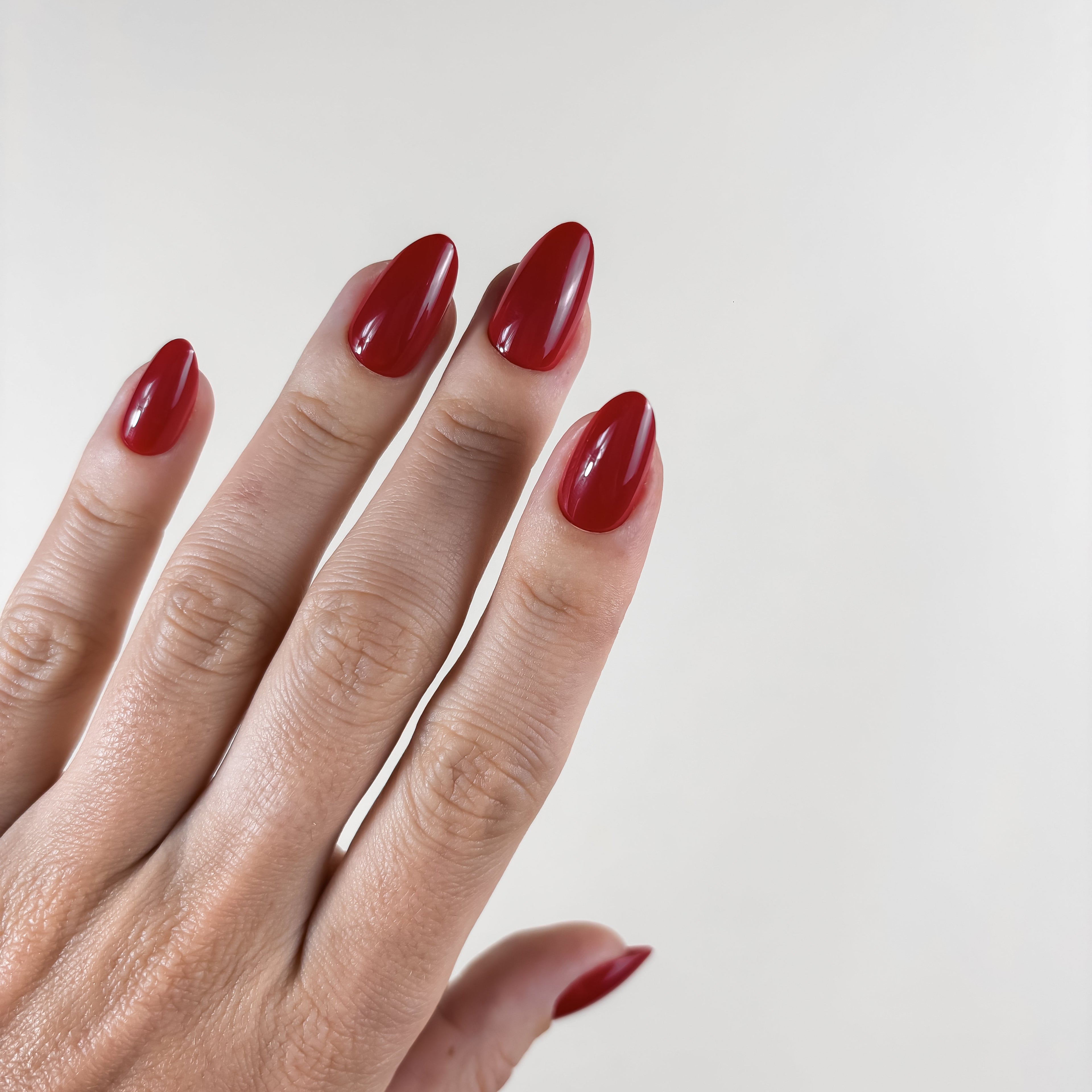 ROUGE MANIFESTE III — L’éclat qui embrase