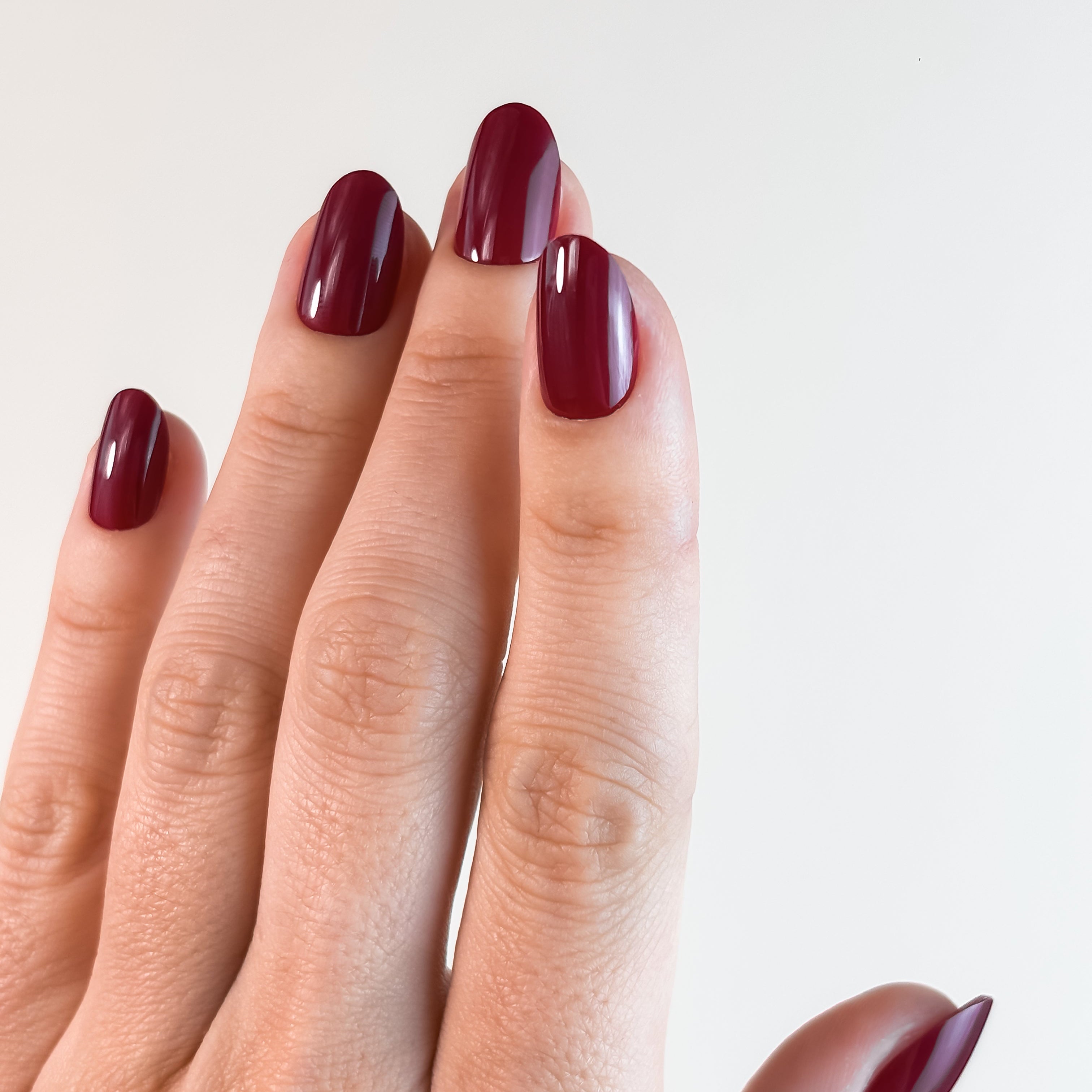 FUCHSIA ROYAL — L’énergie souveraine