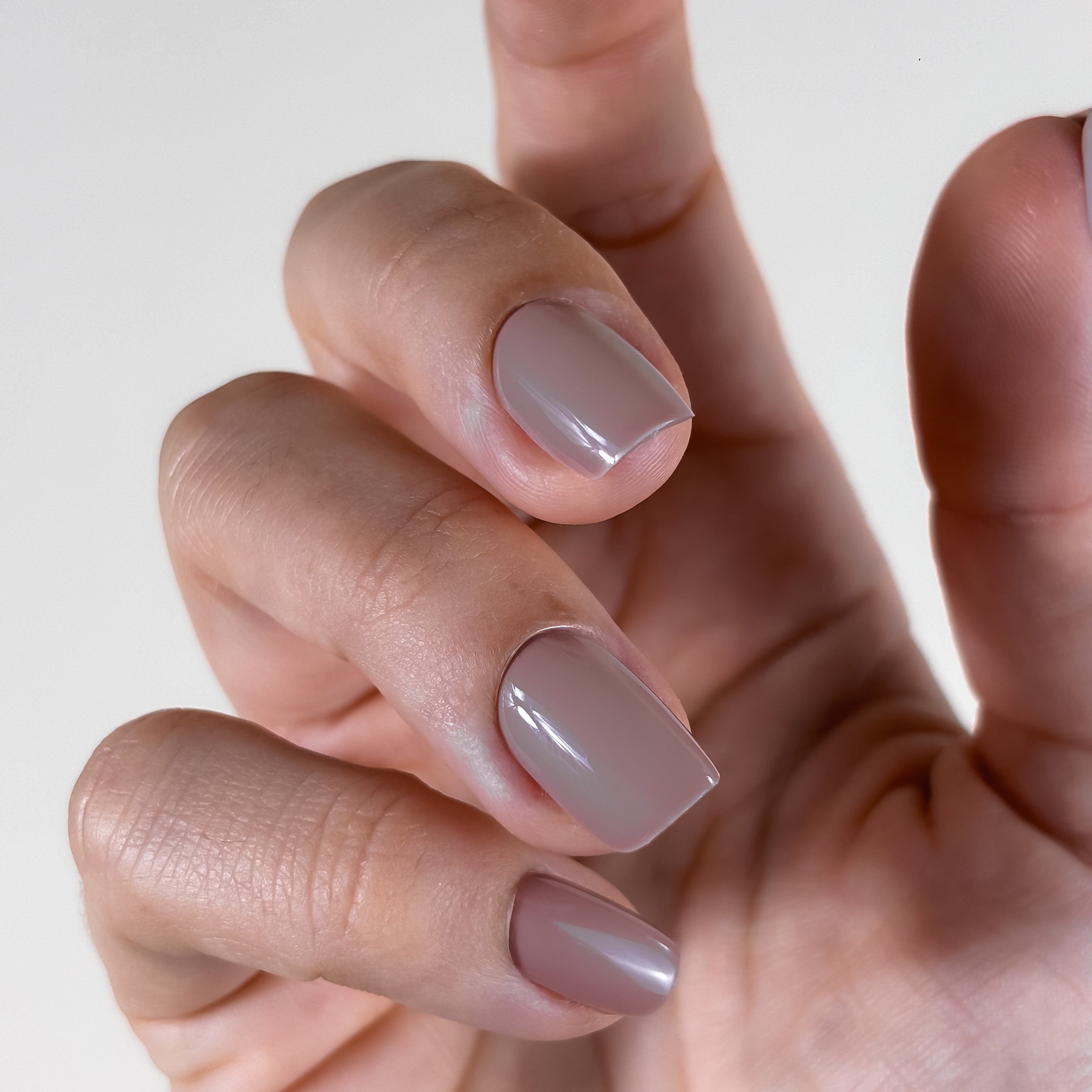 ROSE CACHMIRE — La discrétion éloquente