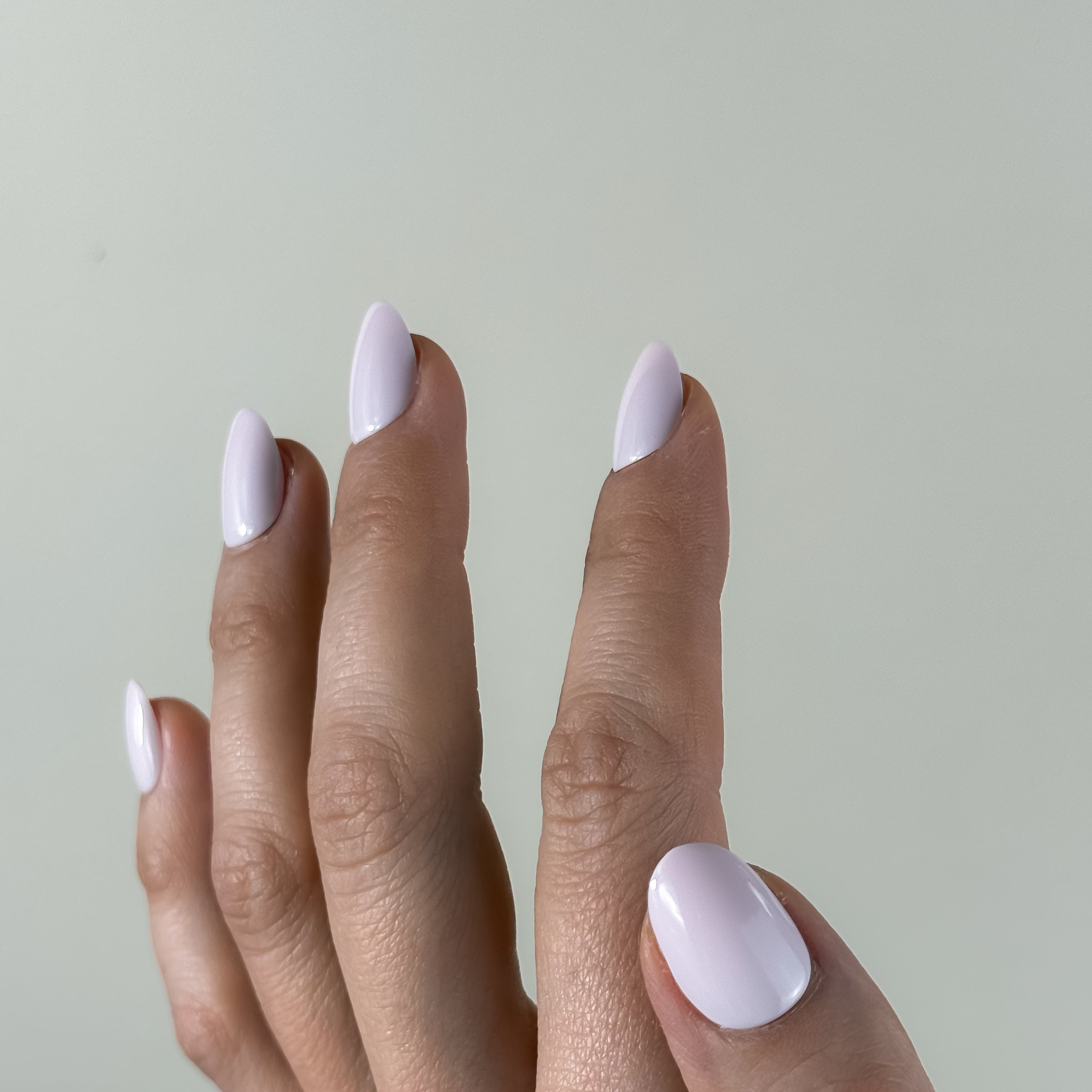 ROSE VELOUTÉ — La tendresse affirmée