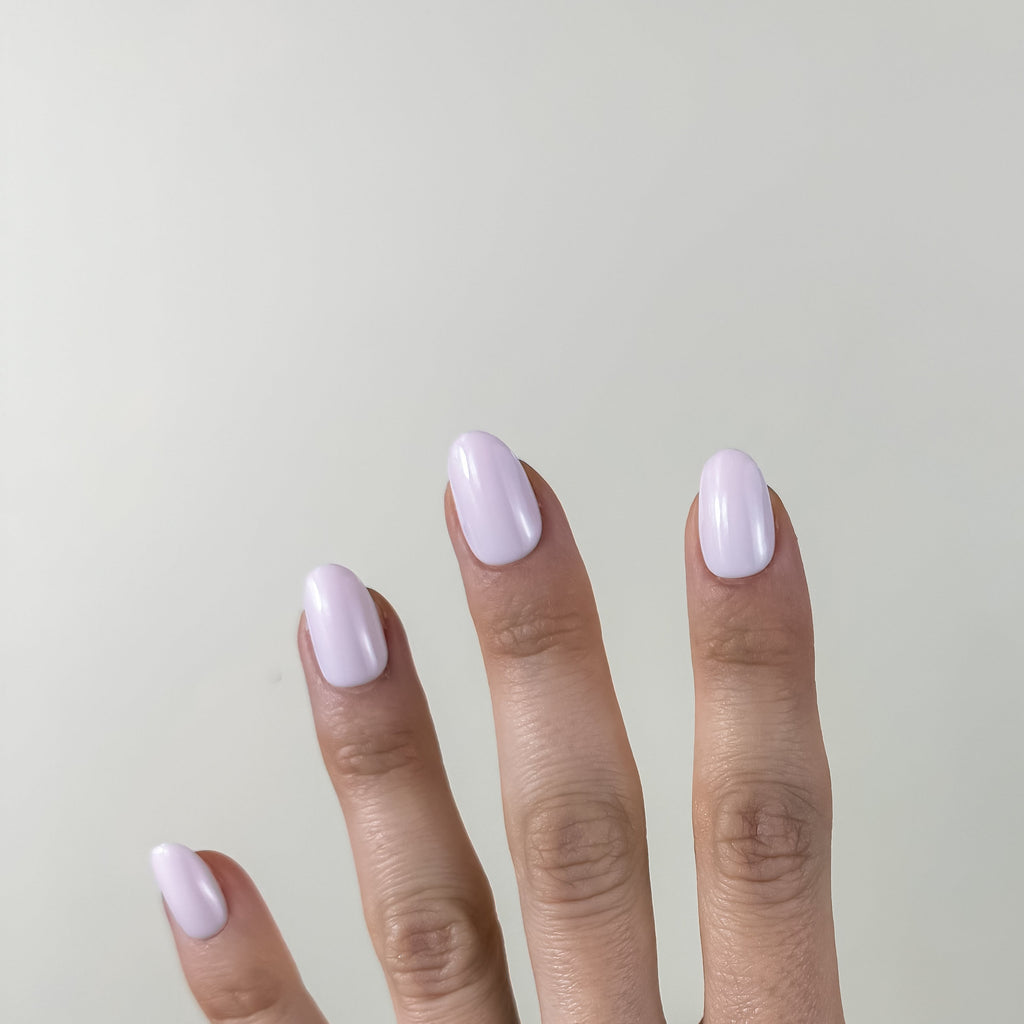 ROSE VELOUTÉ — La tendresse affirmée