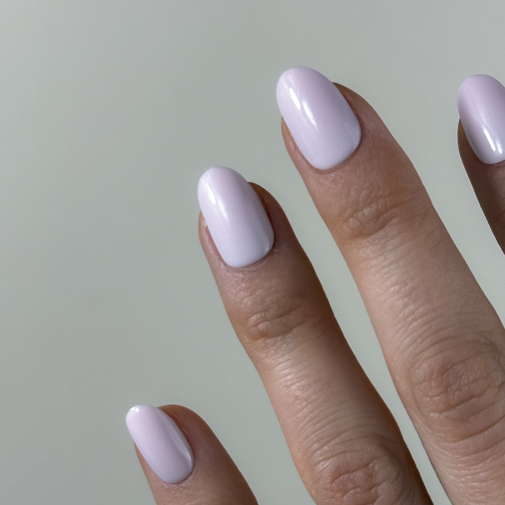 ROSE VELOUTÉ — La tendresse affirmée