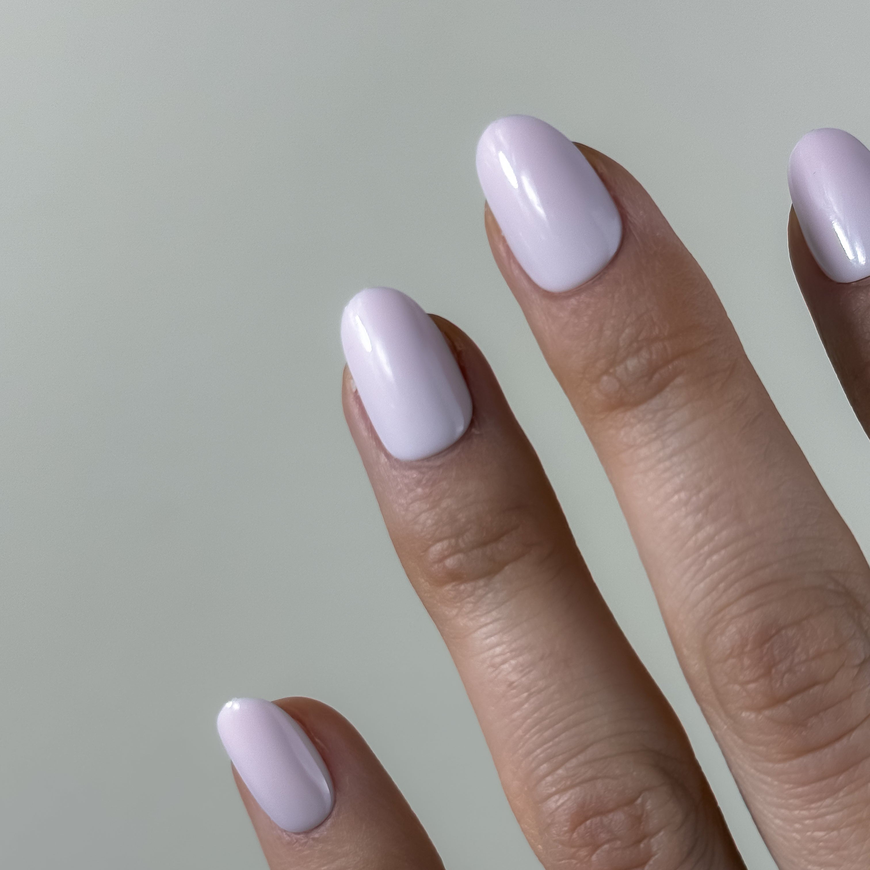 ROSE VELOUTÉ — La tendresse affirmée