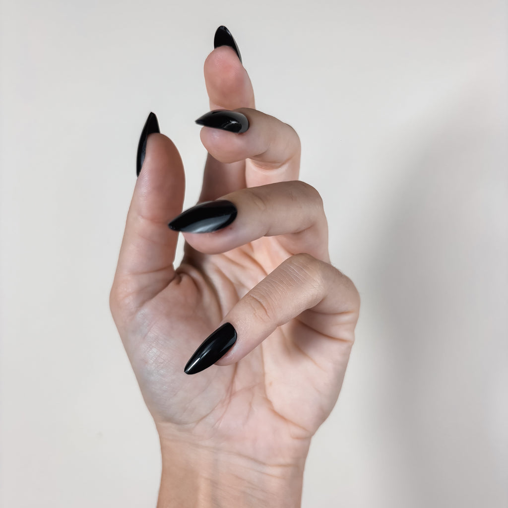 NOIR ETERNEL — L’allure souveraine