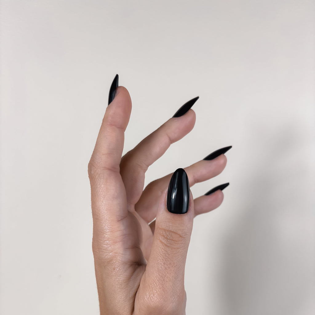 NOIR ETERNEL — L’allure souveraine