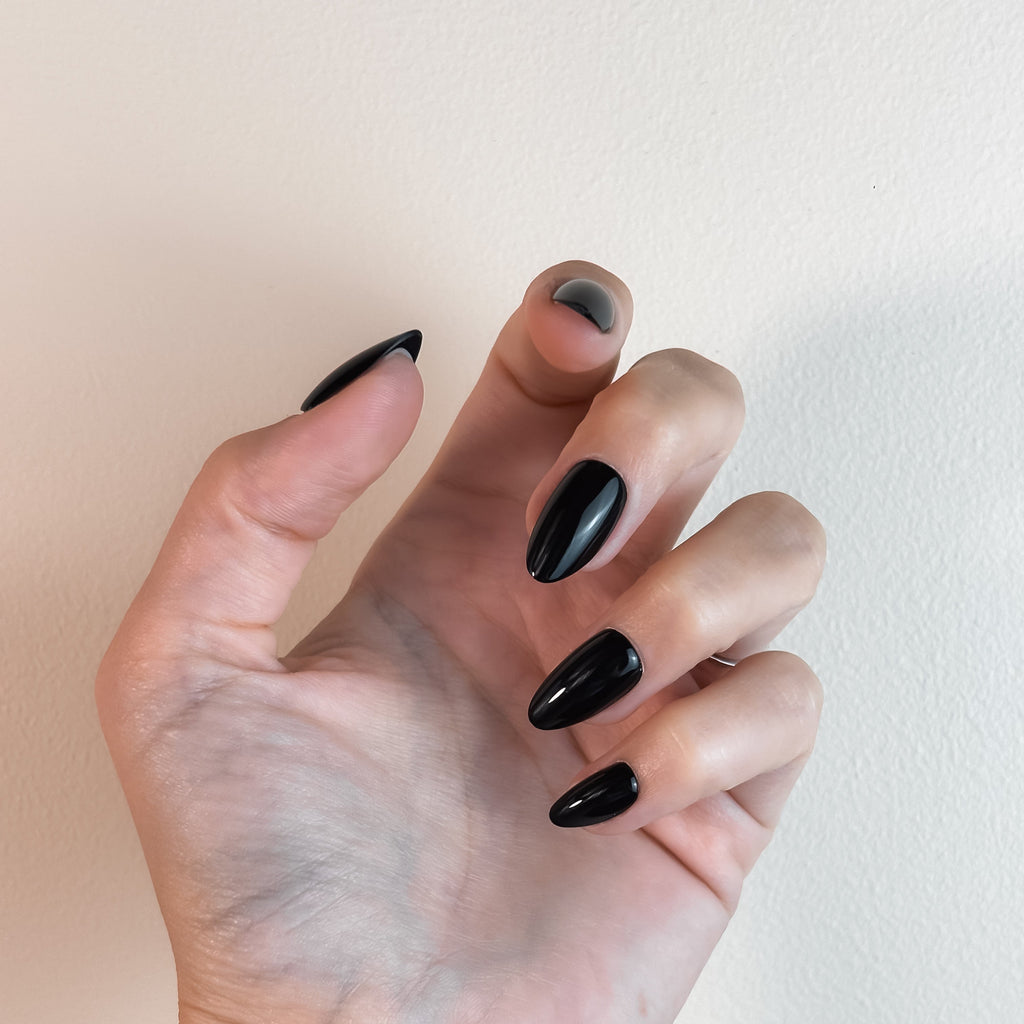 NOIR IMPÉRIAL — La prestance indomptable