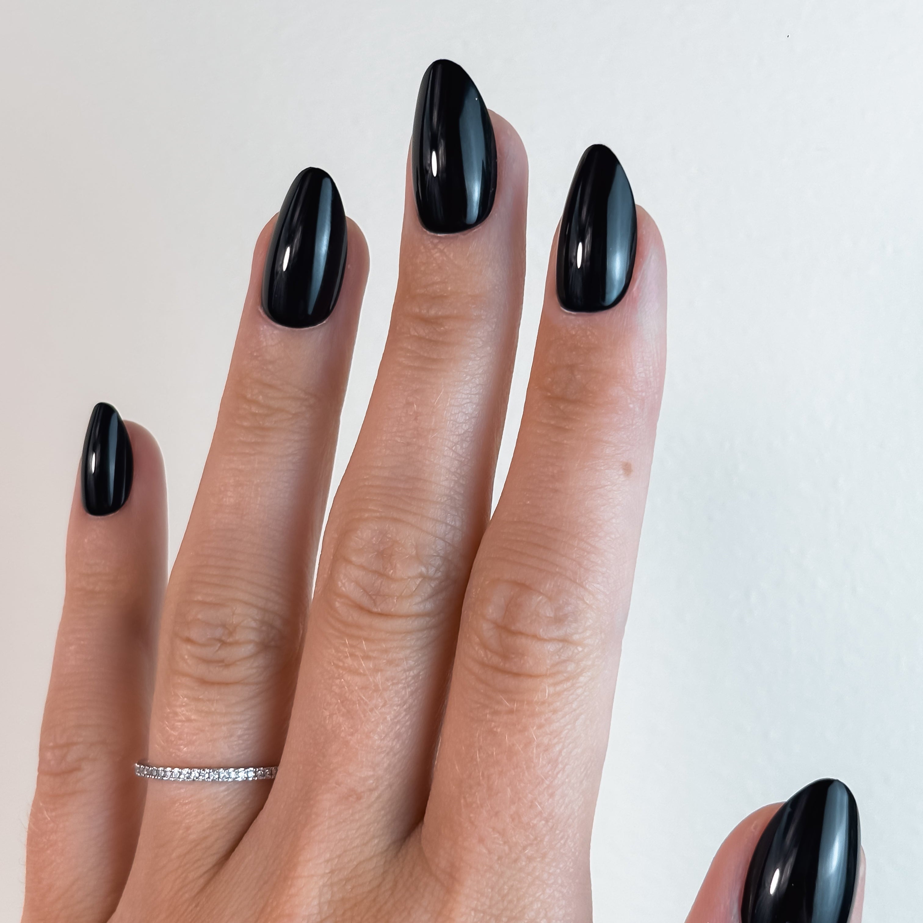 NOIR IMPÉRIAL — La prestance indomptable