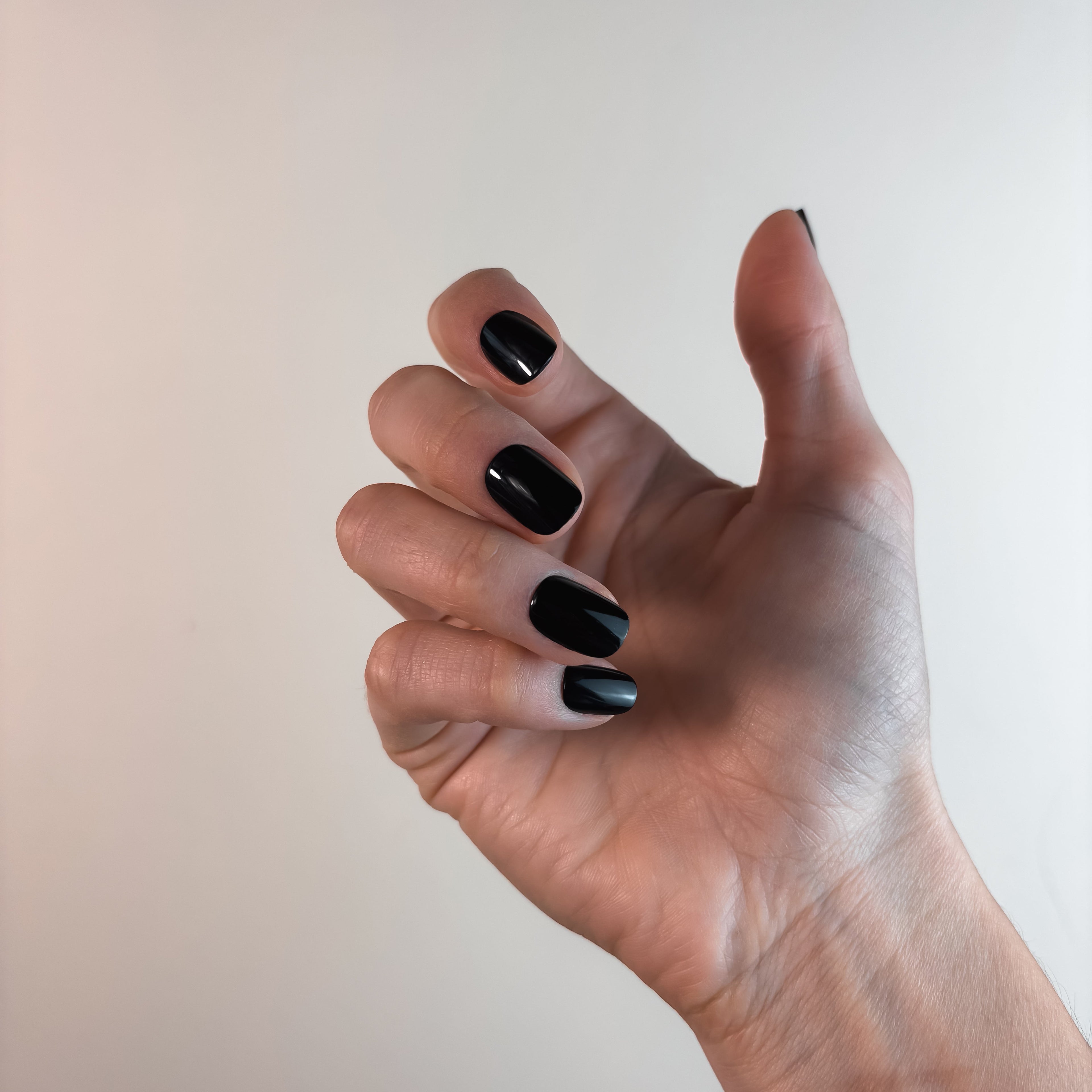 NOIR ABSOLU - la signature d'autorité