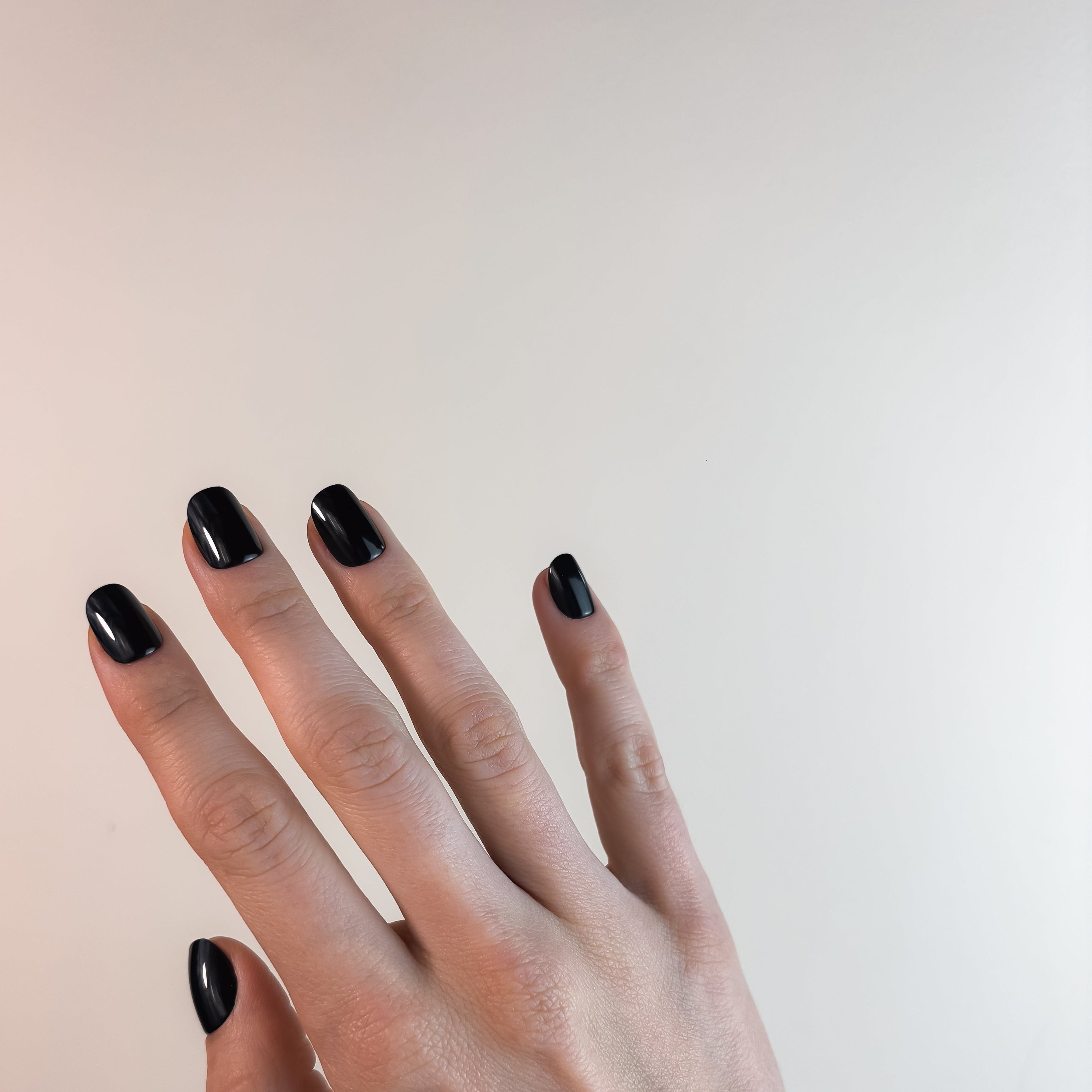 NOIR ABSOLU - la signature d'autorité