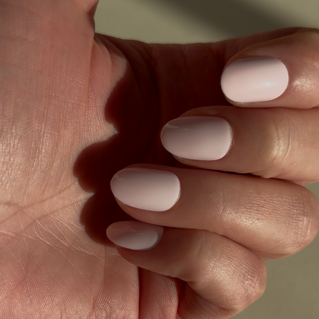 ROSE VELOUTÉ — La tendresse affirmée