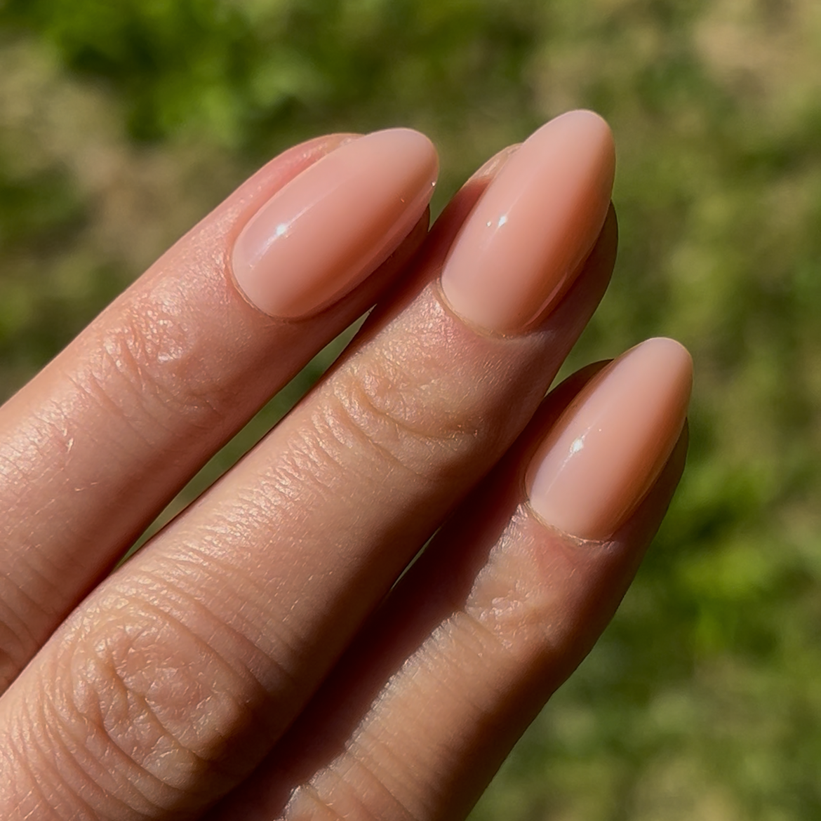 NU I — Le nude idéal