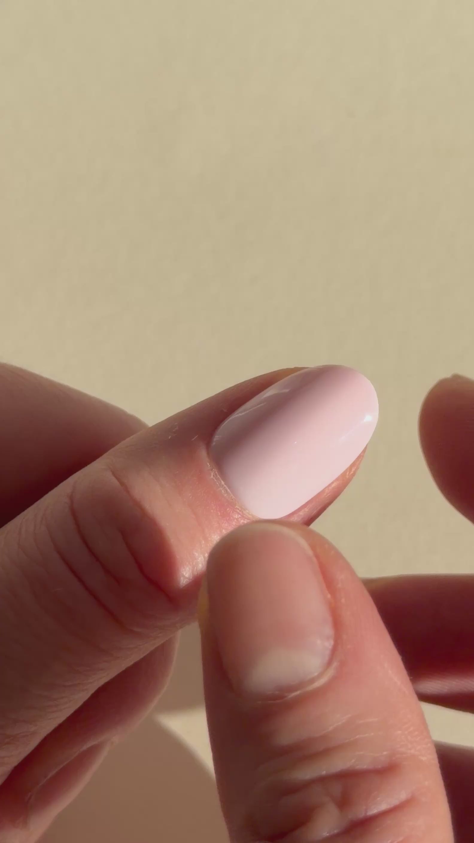 ROSE VELOUTÉ — La tendresse affirmée